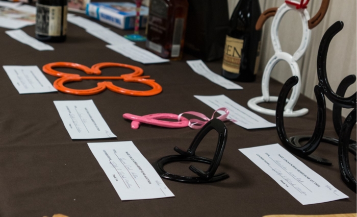 2018-Auction-Items-2
