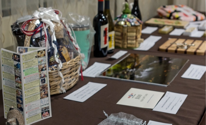 2018-Auction-Items-3